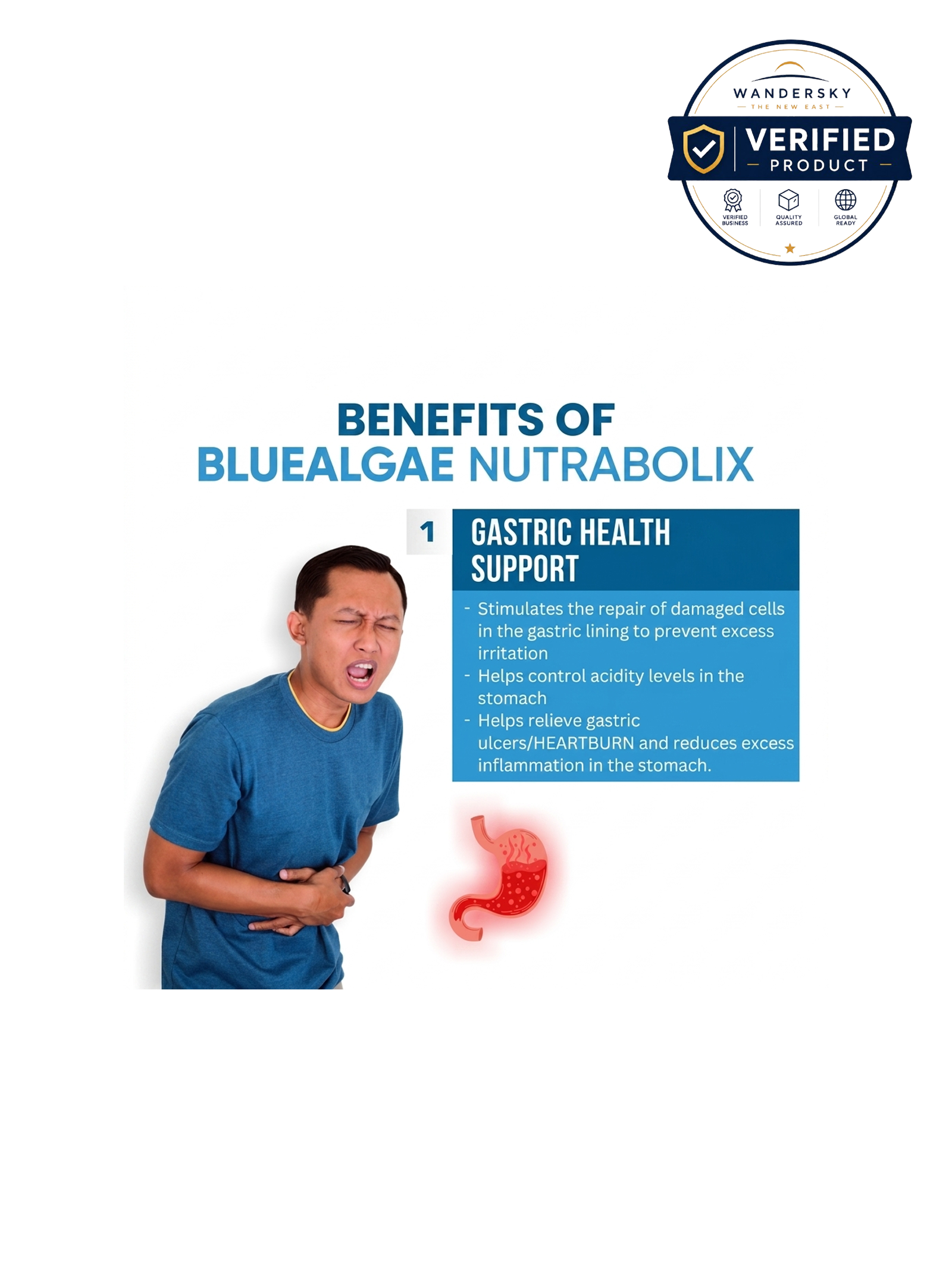 Natural Nutritional Supplement-Bluealgae Nutrabolix